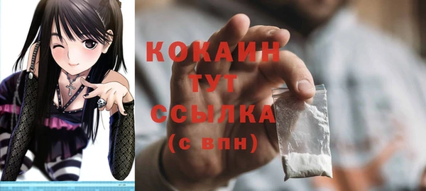бошки Осинники