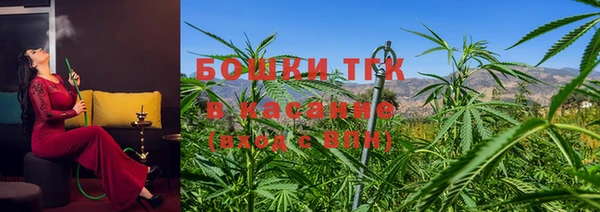 ECSTASY Алзамай