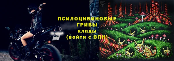 ECSTASY Алзамай