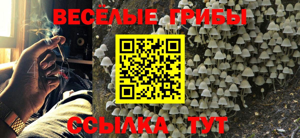 Псилоцибиновые грибы Psilocybe  Галлюциногенные грибы мицелий  Кемерово  Вход с VPN 
