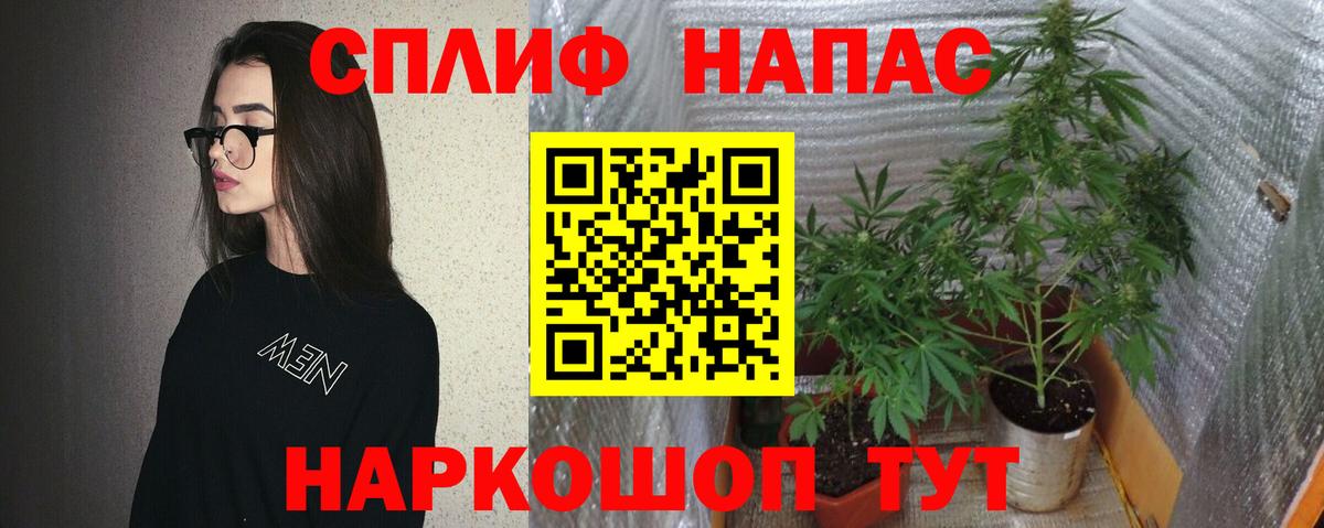 Лсд 25 Кемерово