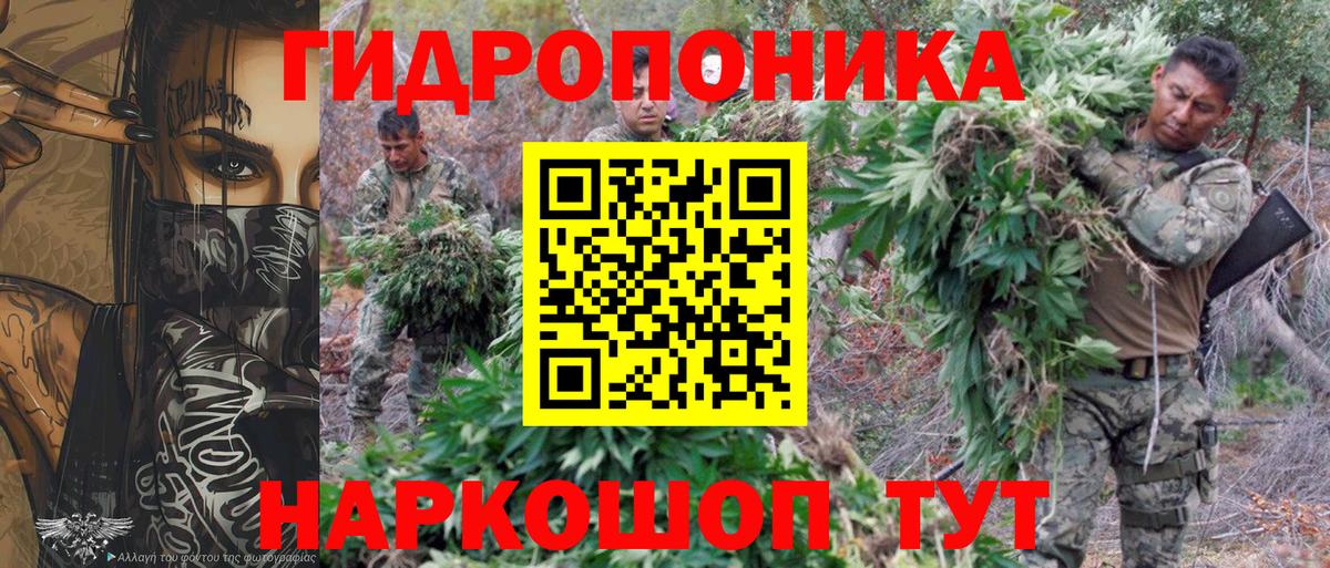 Бошки марихуана VHQ Кемерово